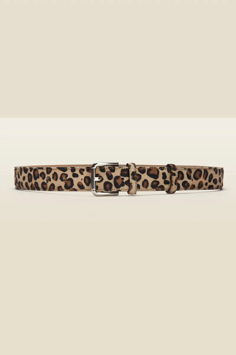 Leopard Pony Waist Belt With Gold Square Buckle 3 Leopard Pony Waist Belt With Gold Square Buckle - Image 3