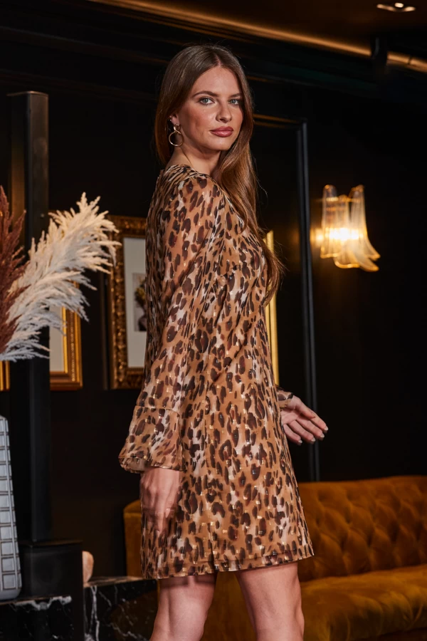 Leopard Print & Metallic Spot Chain Detail Shift Dress 2 Leopard Print & Metallic Spot Chain Detail Shift Dress - Image 2