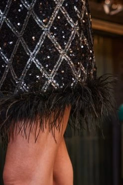 Black Luxe Sequin Feather Hem Skirt -Trendora Shop web 2309 66 a23tk271bk0001 66 172 1