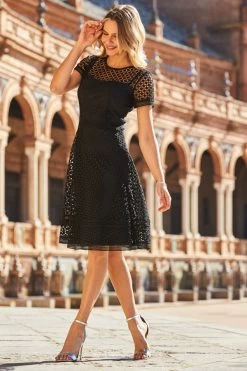 Black Luxe Lace Detail Fit & Flare Dress -Trendora Shop web 42 s22dw063bk 022