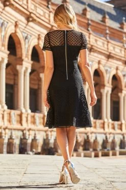 Black Luxe Lace Detail Fit & Flare Dress -Trendora Shop web 42 s22dw063bk 267